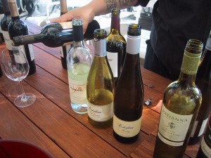 Mendocino Wines